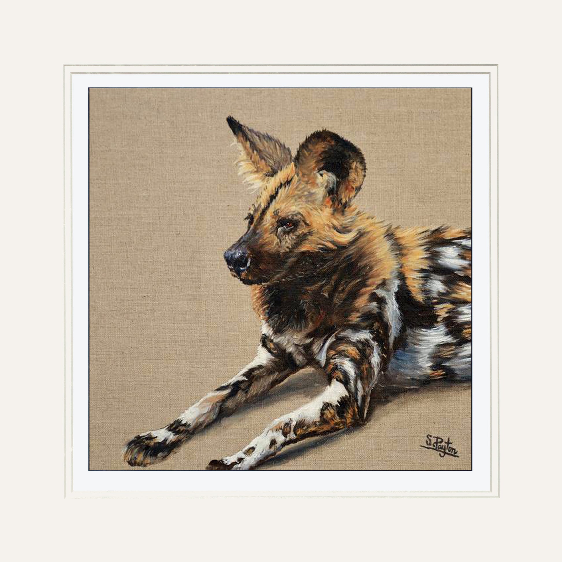 Wild Dog by Sue Payton Limited Edition Print Mounted