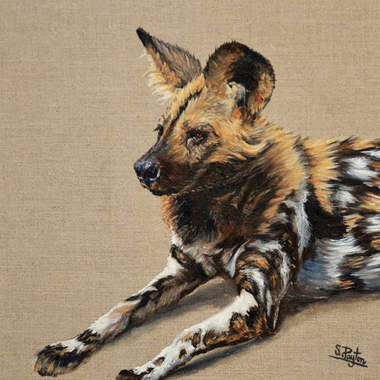 Wild Dog limited edition print by Sue Payton