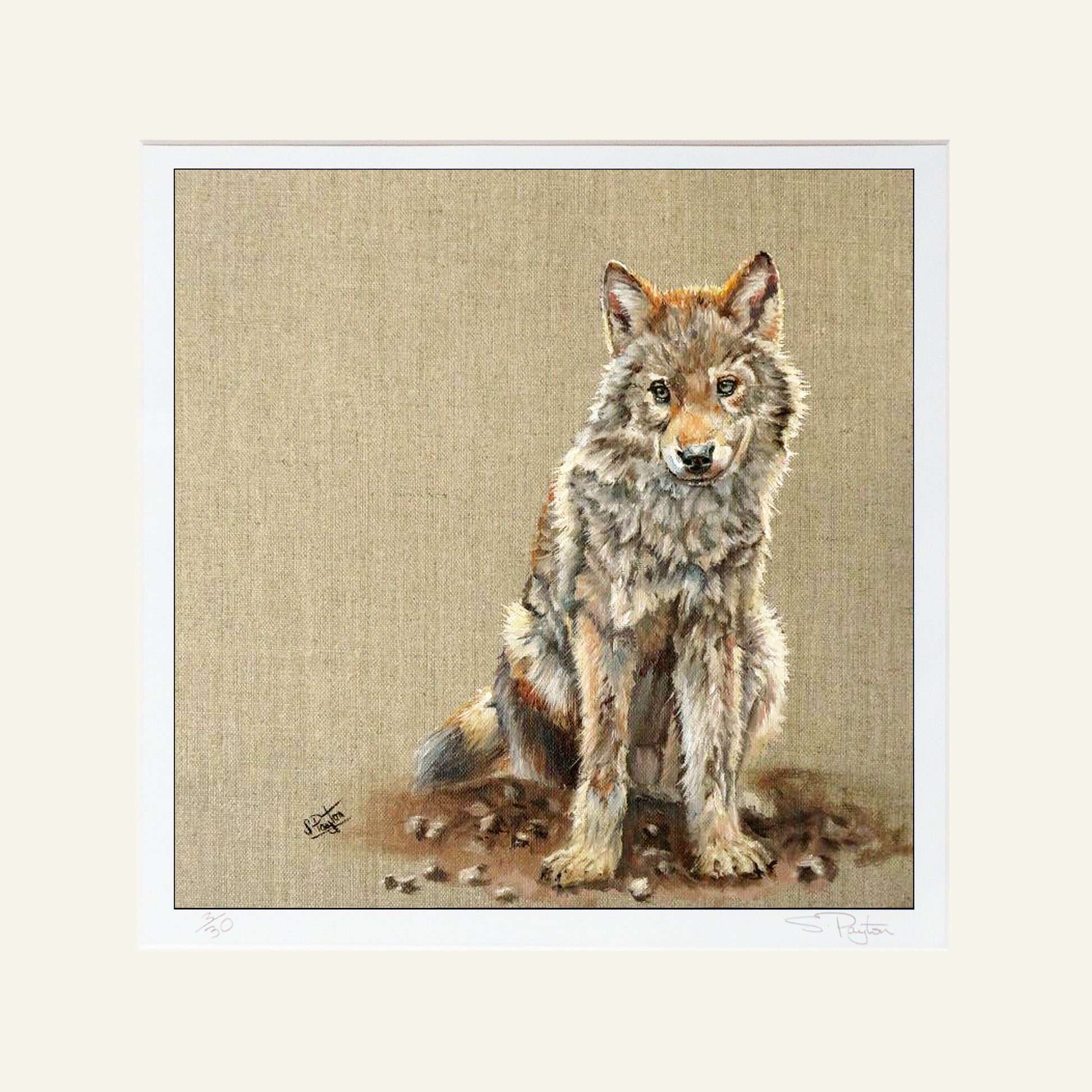 Wolf Cub by Sue Payton Limited Edition Print Mounted