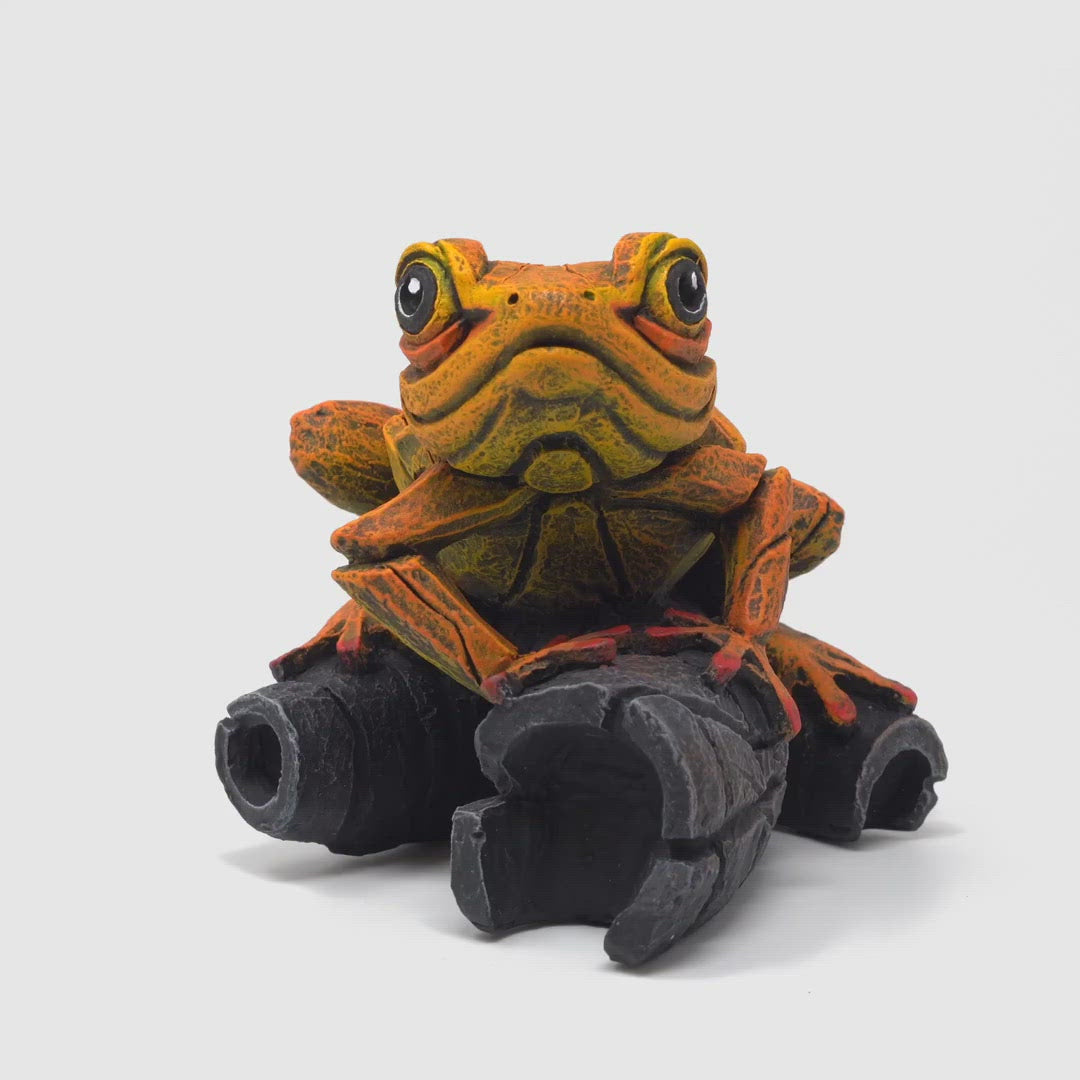 Orange Tree Frog by Edge Sculpture