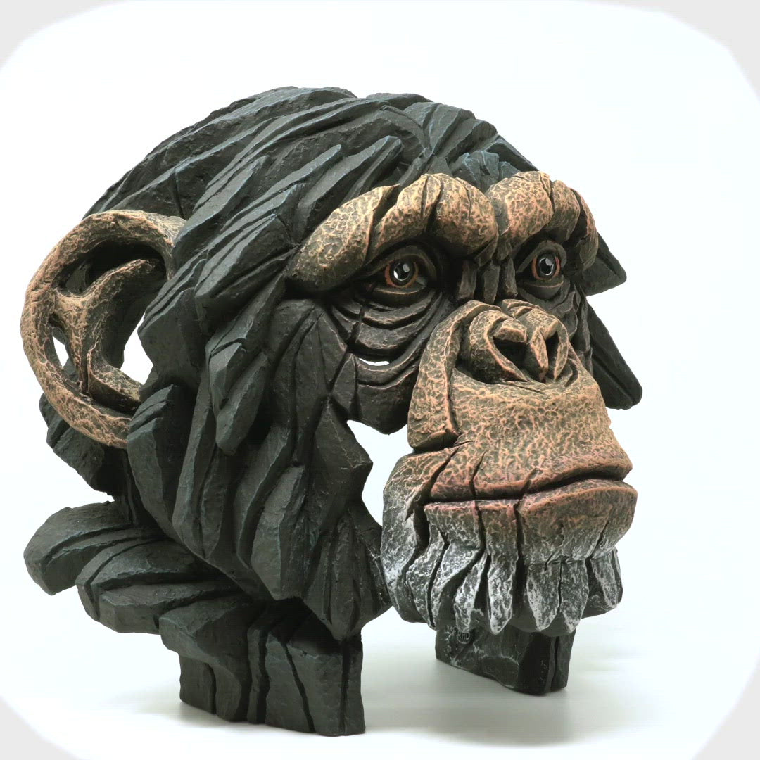 Chimpanzee Bust by Matt Buckley at Edge Sculpture