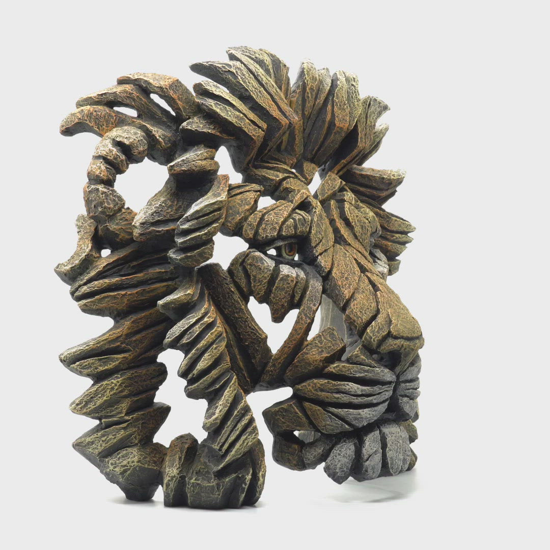 Lion Bust Savannah by Matt Buckley at Edge Sculpture