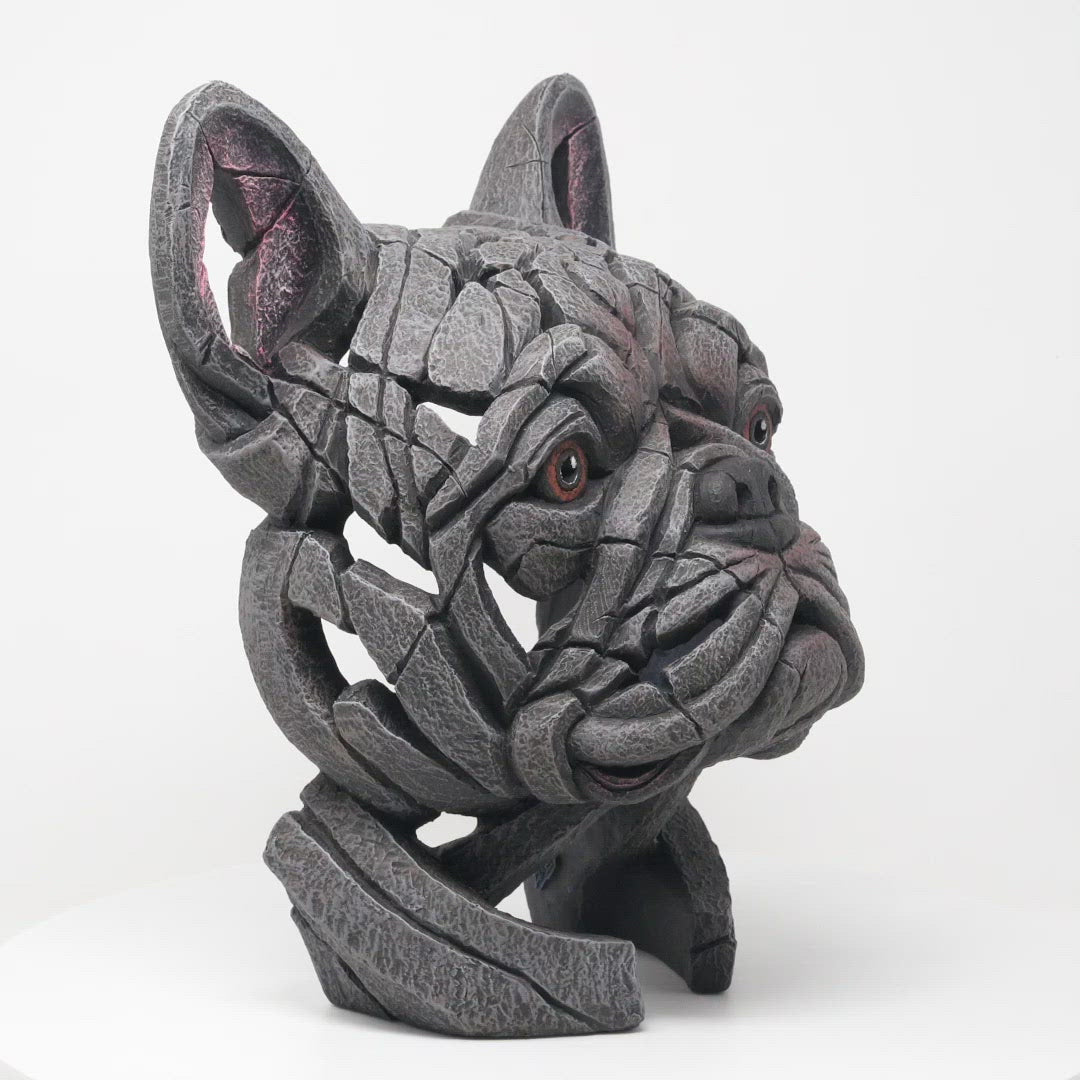 French Bulldog Bust - Blue from Edge Sculpture by Matt Buckley