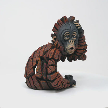 Baby Oh Orangutan