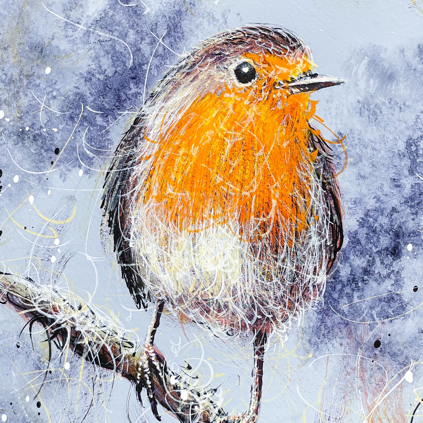 Robin